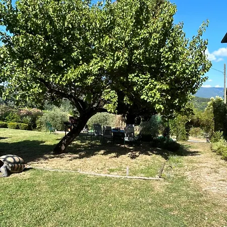 Charming With Swimming Pool-todi, Italy * Todi